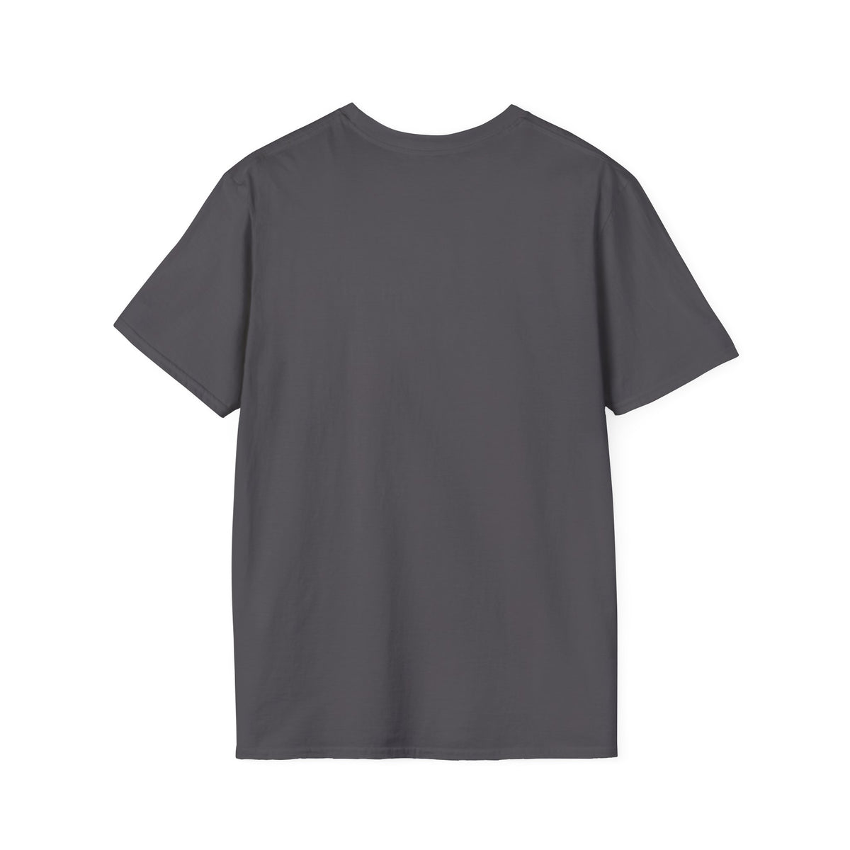 Painting the Mountains Hiker T-Shirt